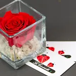 Le Coccinelle Дом отдыха *